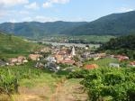 Pohled na vinařskou obec Spitz od viniční trati Steinborz / Spitz, Wachau (Rakousko)