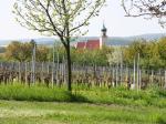 03: Pohled na vinařskou obec Horitschon / Horitschon, Mittelburgenland (Rakousko). Autor: Rotweingut Fam. Iby