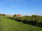 04: Pohled na vinařskou obec Gösing am Wagram od viniční trati Zeisleiten / Gösing am Wagram, Wagram (Rakousko)