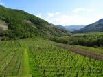 06: Pohled na viniční trať Kalkofen (na pozadí uprostřed) od viniční trati Marbach / Vießling, Wachau (Rakousko)