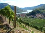 06: Pohled na Spitz od viniční trati Singerriedel / Spitz, Wachau (Rakousko)