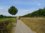 07: Viniční trať Langer Weg / Engabrunn, Kamptal (Rakousko)