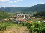 08: Pohled na Spitz od viniční trati Steinborz / Spitz, Wachau (Rakousko)
