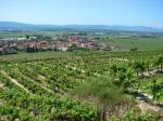 12: Pohled na vinařskou obec Gedersdorf od viniční trati Spiegel / Gedersdorf, Kremstal (Rakousko)