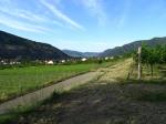 14: Viniční trať Hoferthal, na pozadí vinařská obec Mitterarnsdorf / Mitterarnsdorf, Wachau (Rakousko)
