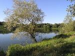 01 - Nálezný rybník u Dubňan v neděli o půl deváté ráno. 20. srpna 2006.