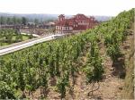 Pohled z vinice na nedaleký Trojský zámek.