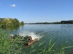10 - Celkový pohled na Novodvorský rybník. 20. srpna 2006.