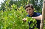 Mladý vinař Marcin Niemiec ve vinohradu