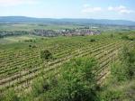 Pohled na Gedersdorf přes viniční tratě Wieland, Altmandl a Zehetnerin / Kremstal (Rakousko).
