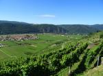 05: Viniční trať Loibenberg, na pozadí vinařské obce Unterloiben (vlevo) a Oberloiben (vpravo) / Unterloiben, Wachau (Rakousko)