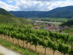 07: Viniční trať Steinporz, na pozadí viniční trať Singerriedel a vinařská obec Spitz / Spitz, Wachau (Rakousko)