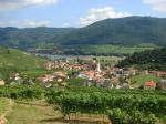 08: Pohled z viniční trati Steinporz na vinařskou obec Spitz / Spitz, Wachau (Rakousko)