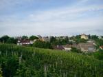 Maledný pohled na vesničku z vinohradů...