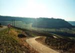 ...ovšem nejlepší vins jaune pocházejí z bezprostředního okolí tohoto kopce s Château Chalon na vrcholu 