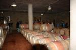 Sklep vinařství Corzano e Paterno, barikové sudy. Foto J. Herzán.