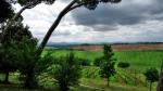 Pohled do krajiny od vinařství Avignonesi. Foto P. Pavelka.