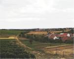 Horní pohled na viniční trať Terasy (1,19 ha) výsadba proběhla v roce 1996.