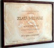 Zlatá medaile VVT 2000 - Svatovav?inecké 1992.